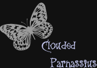 Clouded Parnassius